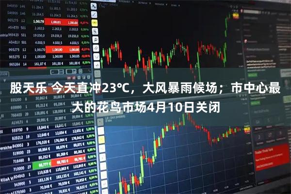 股天乐 今天直冲23℃，大风暴雨候场；市中心最大的花鸟市场4月10日关闭